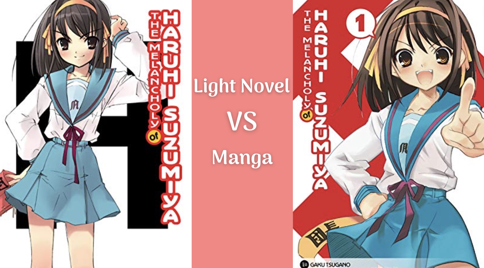 Haruhi Suzumiya Light Novel or Manga