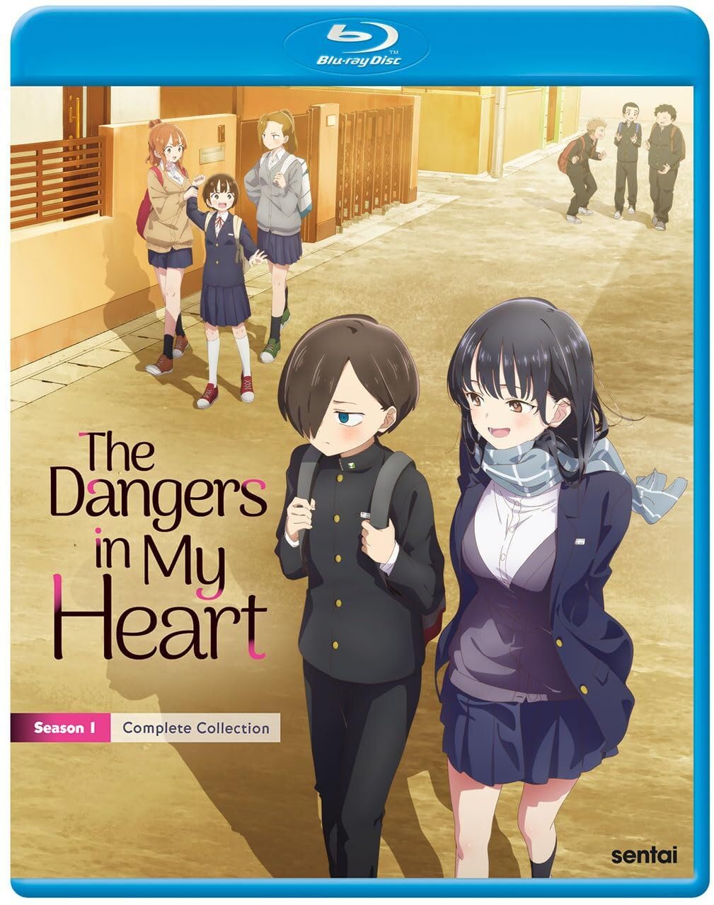 The Dangers in My Heart Blu-Ray